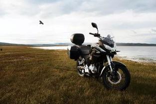 最热国产摩托车视频在线,最热视频带你领略速度与激情