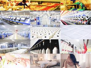 国产棉花生产视频,从播种到收获的绿色之旅